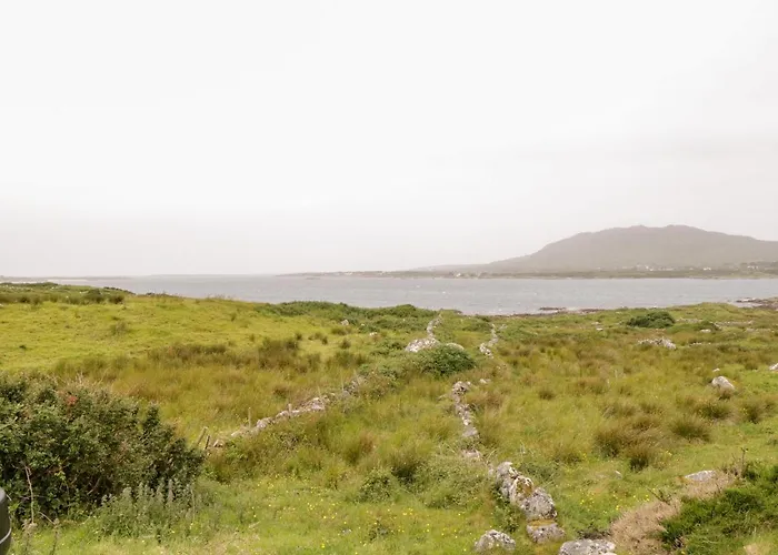 The White House Hébergement de vacances Roundstone